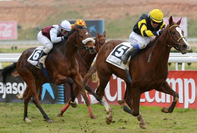 Imagen de una carrera en el Gran Hipódromo de Andalucía.