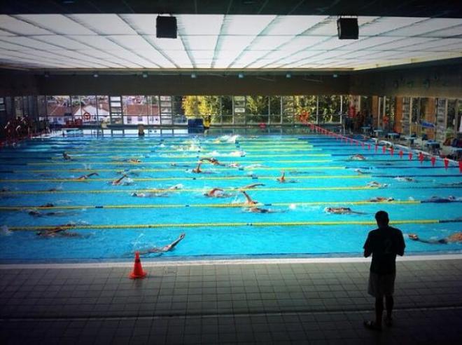 Los nadadores del Club Natación Mairena.