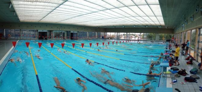 27 medallas para los nadadores de clubs andaluces.