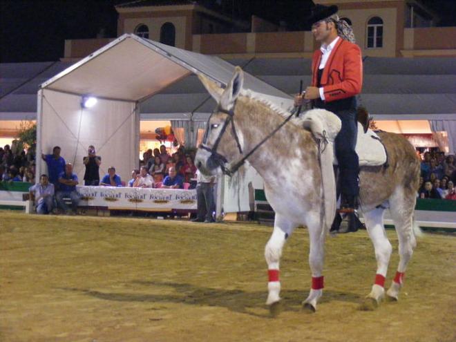 Concurso de Yuntas y Carreteros.