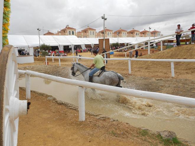 Imagen de la Gymkhana Ecuestre.