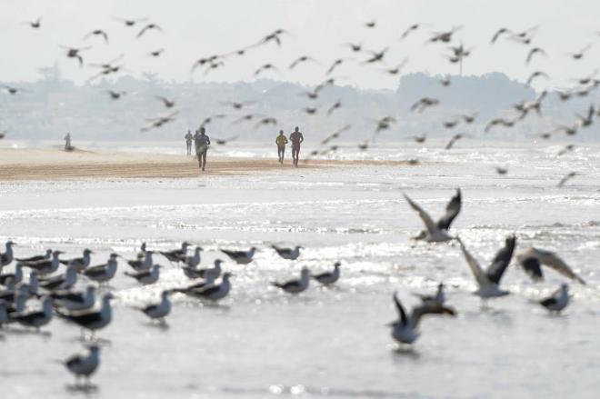 Triatletas corriendo en Doñana.