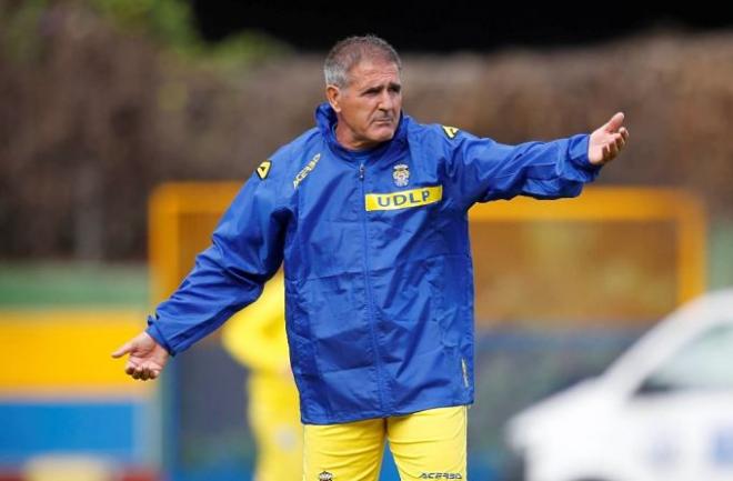 Paco Herrera, entrenador de la UD Las Palmas.