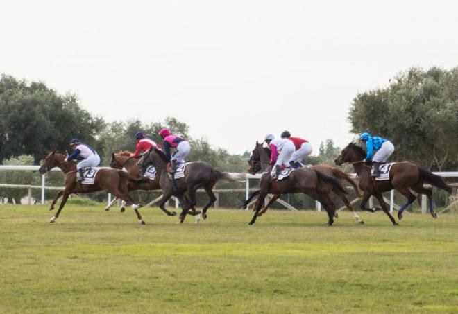 Imagen de la carrera del Premio Cruzcampo.