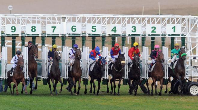 Carrera en el hipódromo de Dos Hermanas.