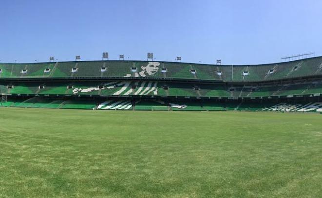 Estadio Benito Villamarín. (Foto: Kiko Hurtado).