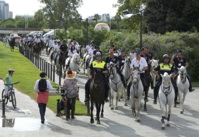 ValenciaCaballo, un mundo de actividades en torno al mundo equino.