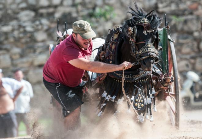 El tradicional y valenciano 'Tiro y arrastre' se da cita en el Jardín del Túria.