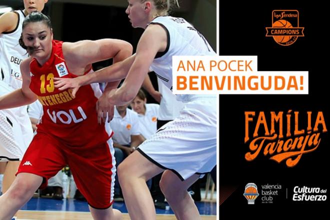 Ana Pocek, refuerzo de lujo para el Valencia Basket.