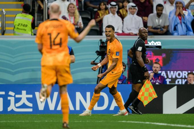 Cody Gakpo celebra su gol ante Qatar (Foto: Cordon Press).