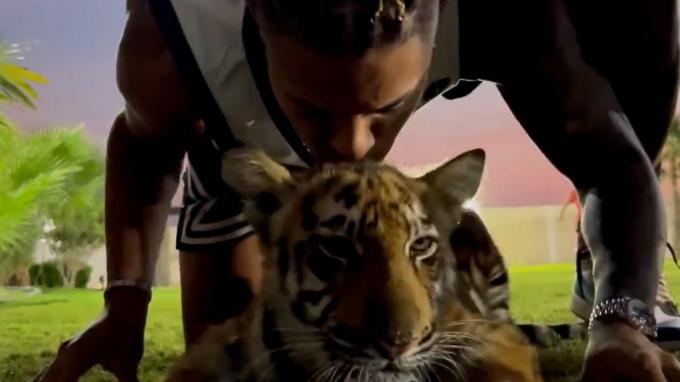 Mariano le da un beso a una cría de tigre.