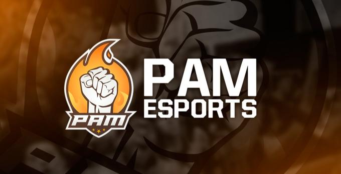 PAM eSports